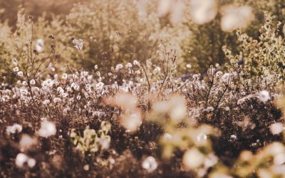 Autohypnose contre la douleur