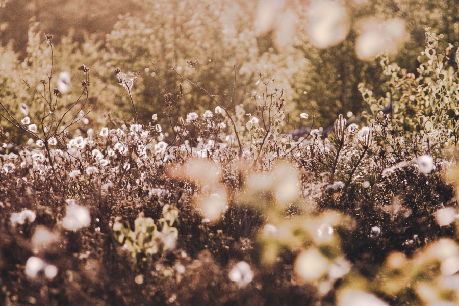 autohypnose douleurs chroniques