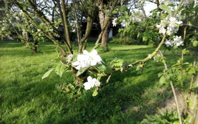 Regarder autour de soi