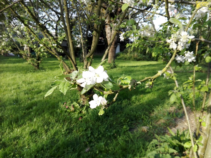 Regarder autour de soi